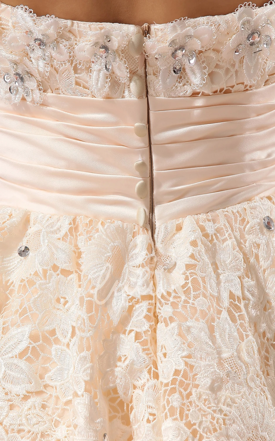 Lace Applique Cinched-Waist Tea-Length Dress for Women