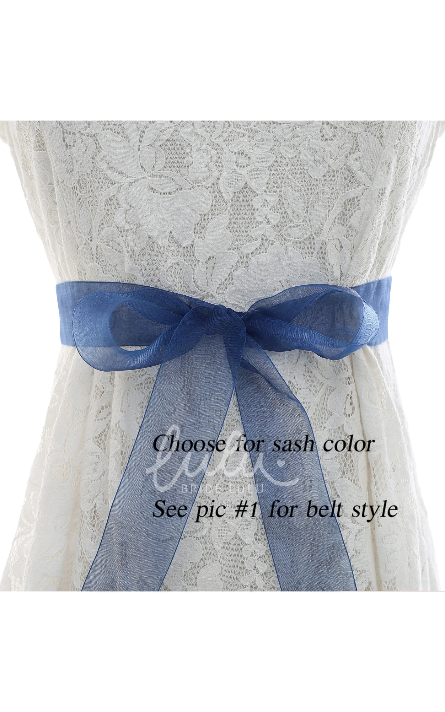 Bridal Crystal Appliqued Belt