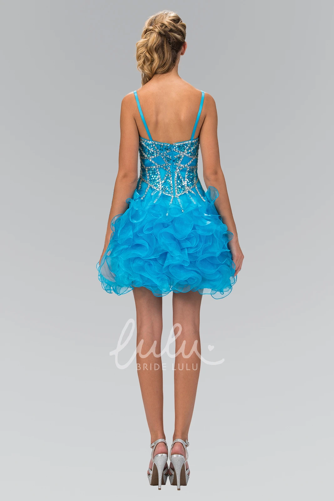 Ruffled A-Line Mini Spaghetti Sleeveless Beach Dress with Organza