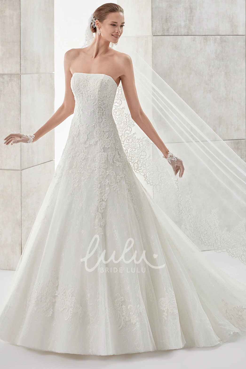 Applique A-line Wedding Dress with Brush Train Simple & Elegant