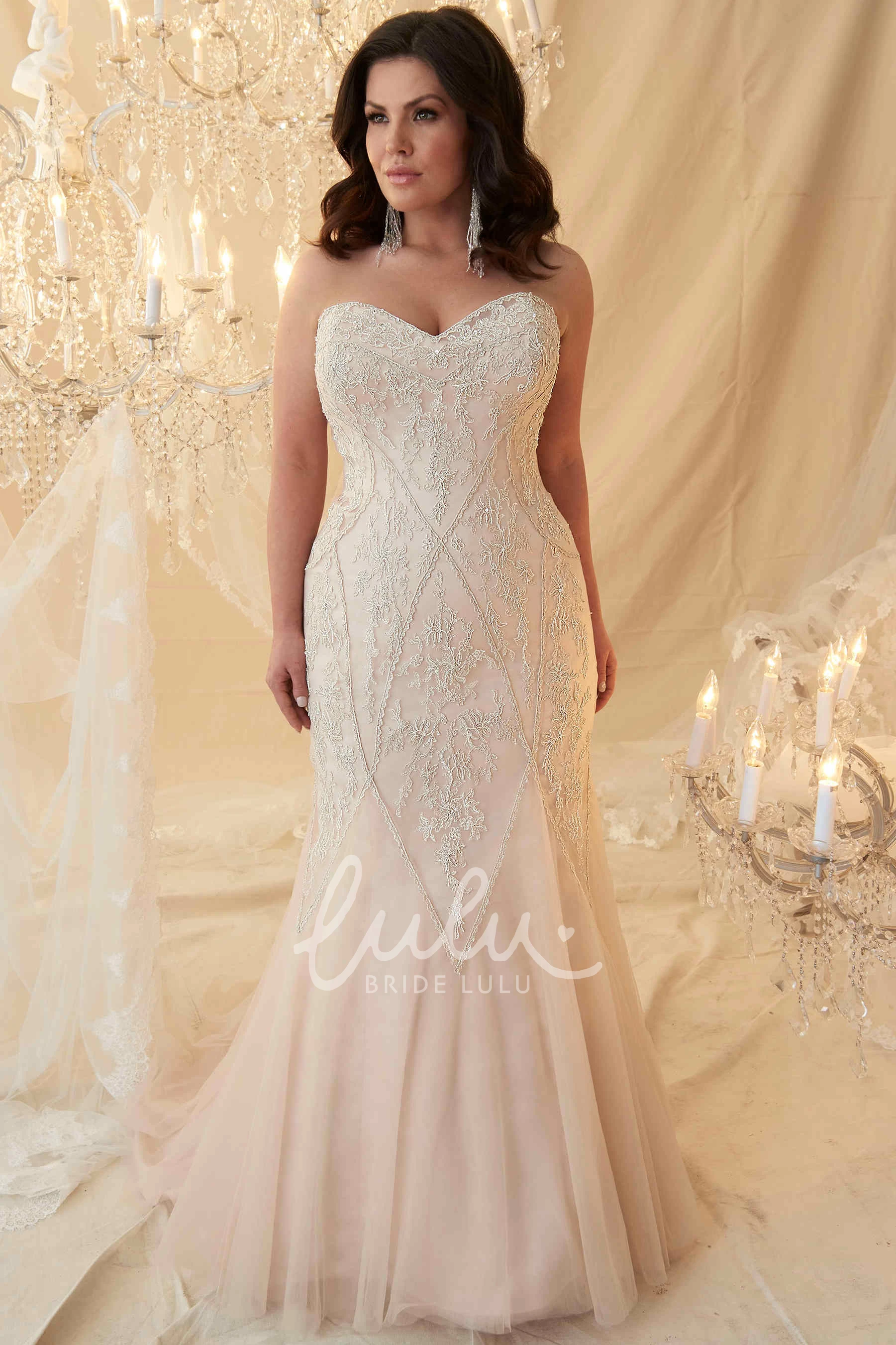 Lace Up Sweetheart Tulle Wedding Dress Mermaid Style for Plus Size