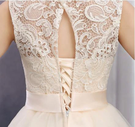 Timeless Lace Prom Dress with Bowknot and Tulle Skirt