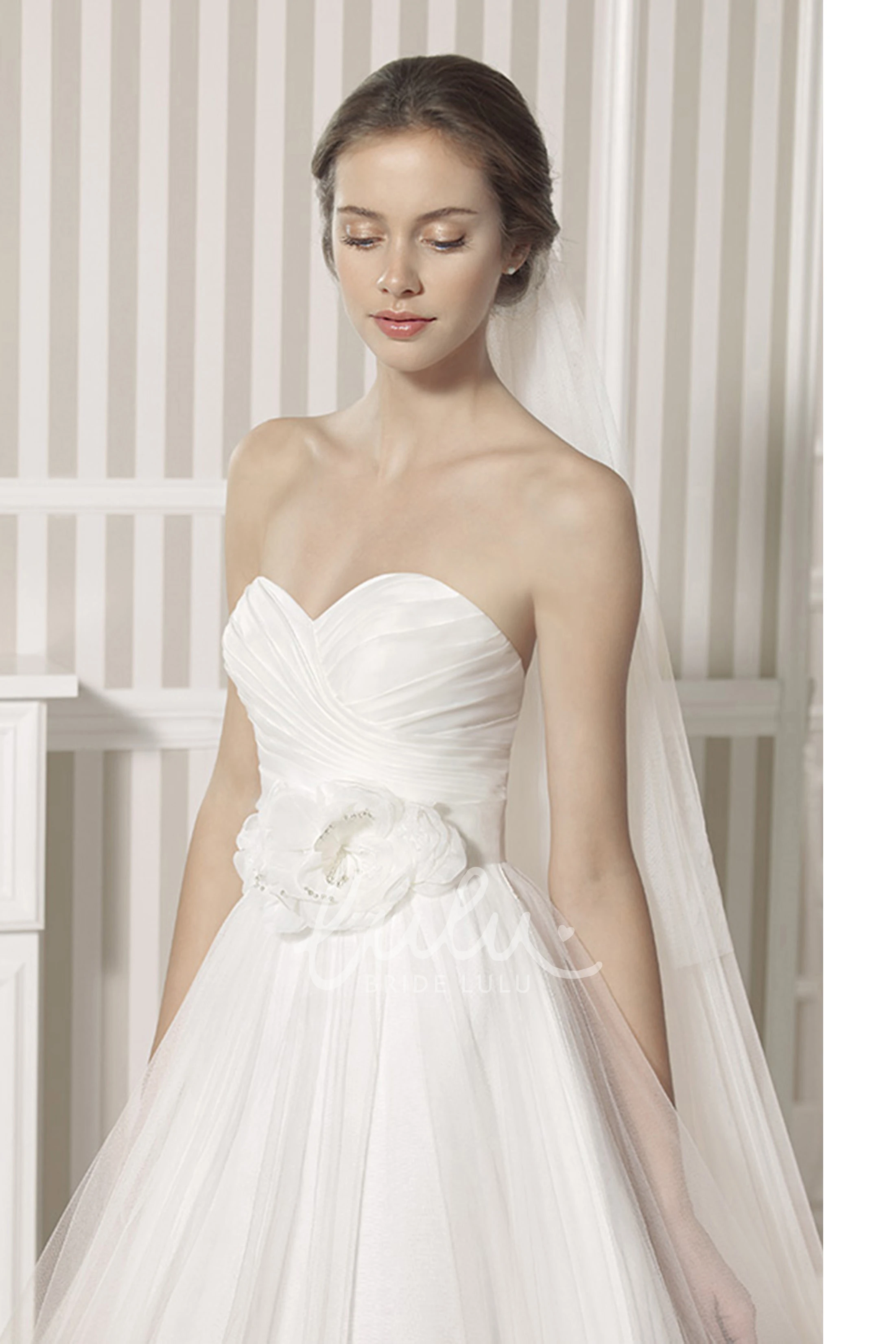 Sweetheart Tulle Ball Gown Wedding Dress with Criss Cross and Pleats Romantic Bridal Gown