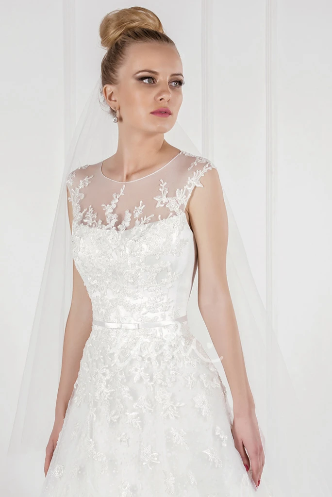 Appliqued Tulle A-Line Wedding Dress with Illusion Back
