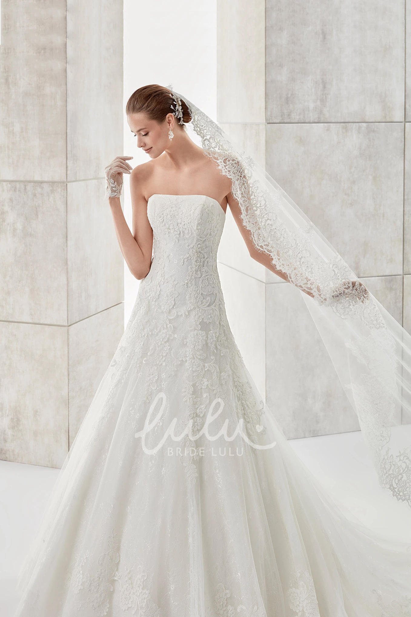 Applique A-line Wedding Dress with Brush Train Simple & Elegant