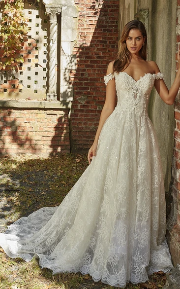 Off-the-Shoulder Lace A-line Wedding Dress with Open Back