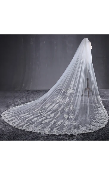 Lace Appliques Cathedral Tulle Wedding Veil Ethereal Bridal Accessory