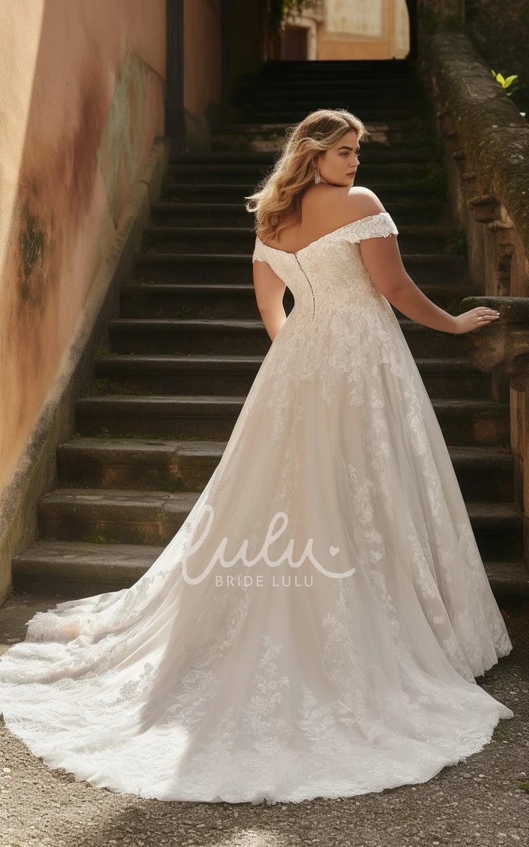 Plus Size A-Line Chiffon Lace Wedding Dress Sleeveless Elegant Romantic Off-the-Shoulder