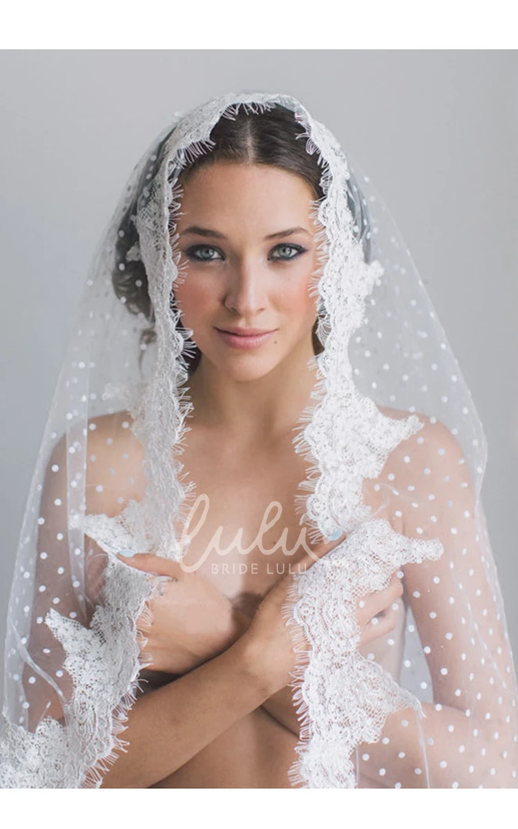 Long Lace Appliques Bride Veil with Hair Comb Classic Bridal Accessory