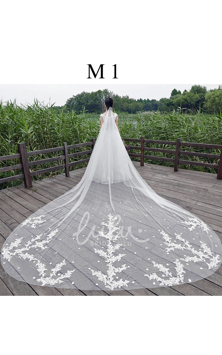 Lace Applique Soft Tulle Bridal Veil with Long Length Wedding Dress